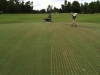 the-preserve-dryject-services